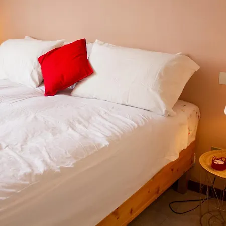 Poppy Vicino Fiera Di Bolonha