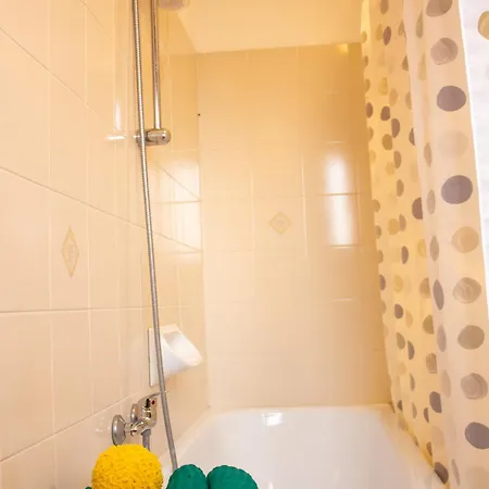 Poppy Vicino Fiera Di 볼로냐