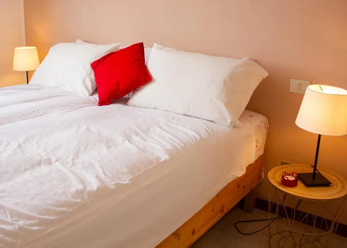 Poppy Vicino Fiera Di Bolonia