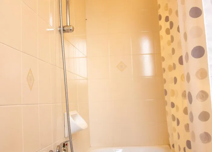 Poppy Vicino Fiera Di Bolonia